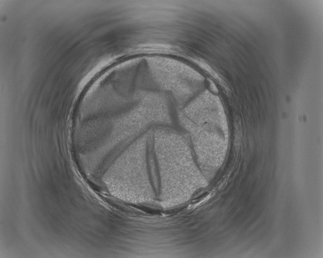 X0000082761325200702240055