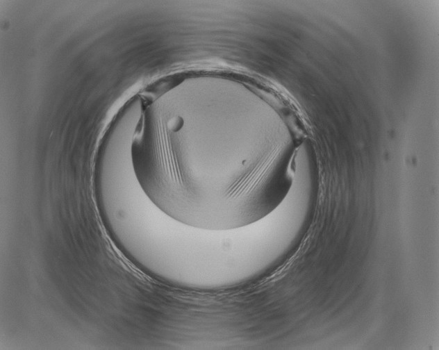 X0000082761326200702240055