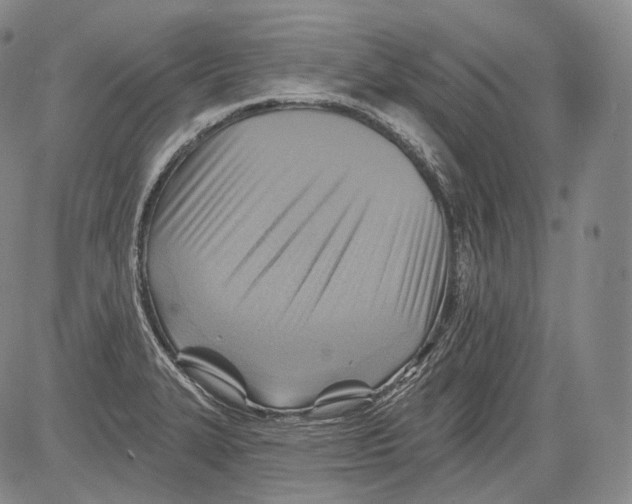 X0000082761327200702240055