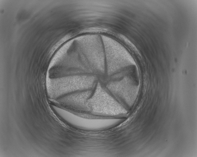 X0000082761329200702240055