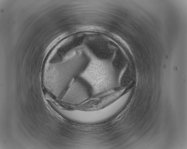 X0000082761330200702240055