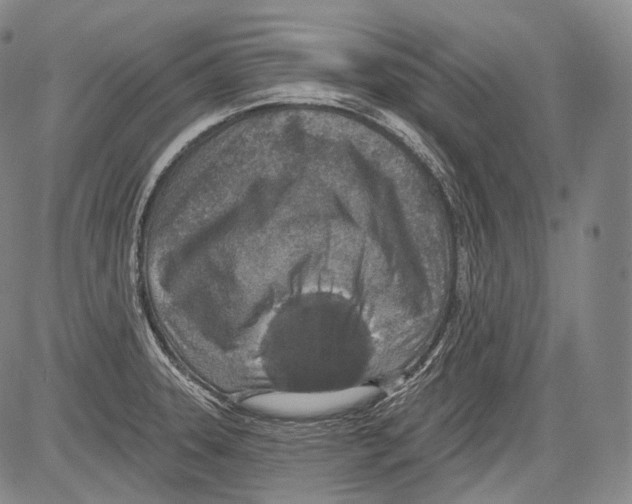 X0000082761331200702240055