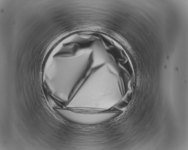 X0000082761332200702240055