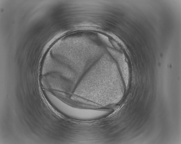 X0000082761333200702240055