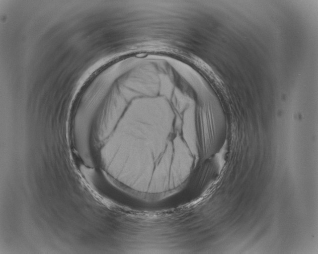 X0000082761334200702240055