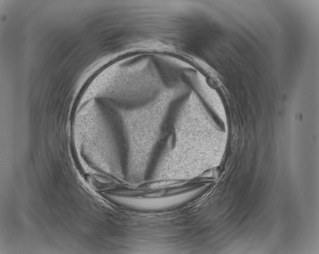 X0000082761335200702240055