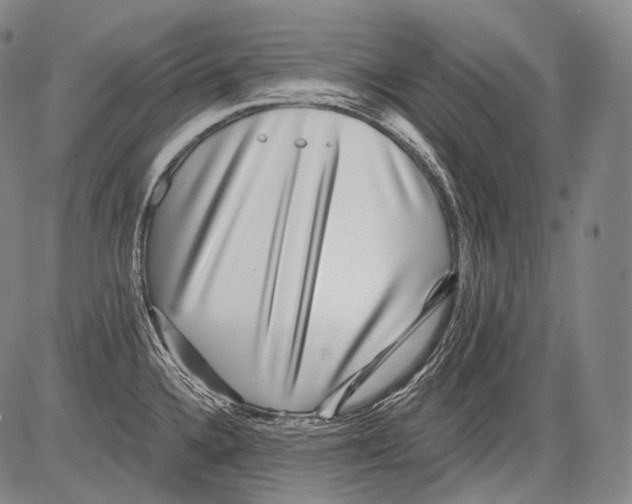 X0000082761336200702240055