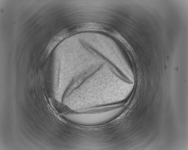 X0000082761337200702240055