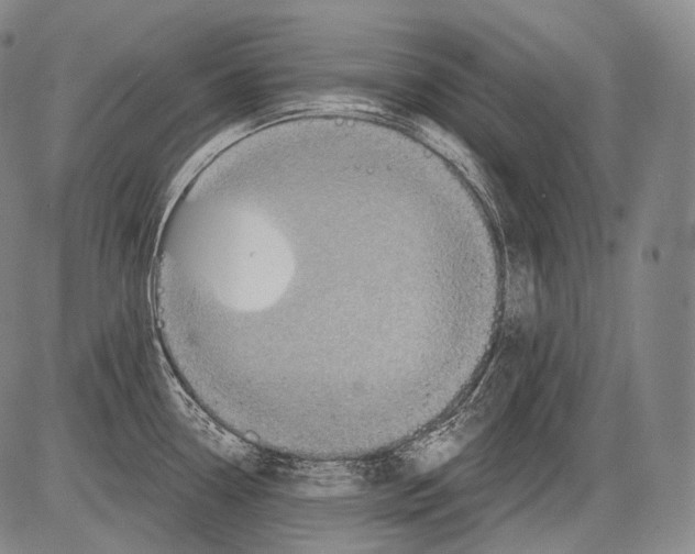 X0000082761338200702240055