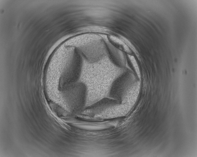 X0000082761339200702240055