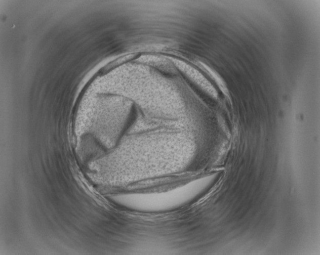 X0000082761340200702240055