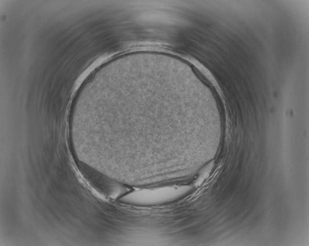 X0000082761341200702240055