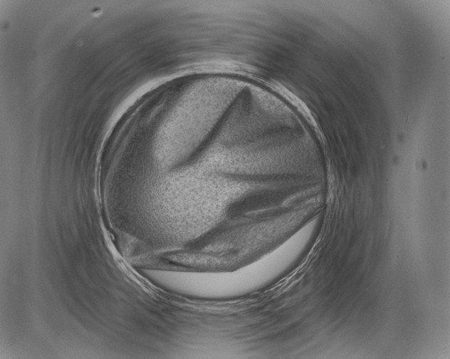 X0000082761342200702240055