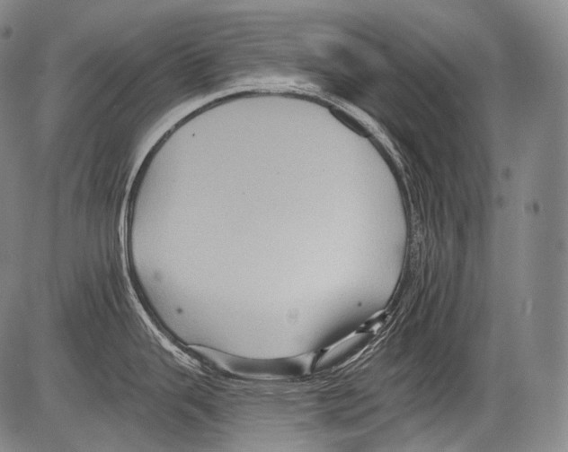 X0000082761343200702240055