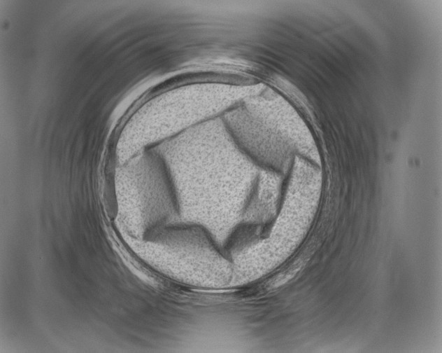 X0000082761344200702240055