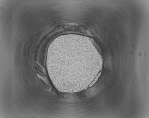 X0000082761345200702240054