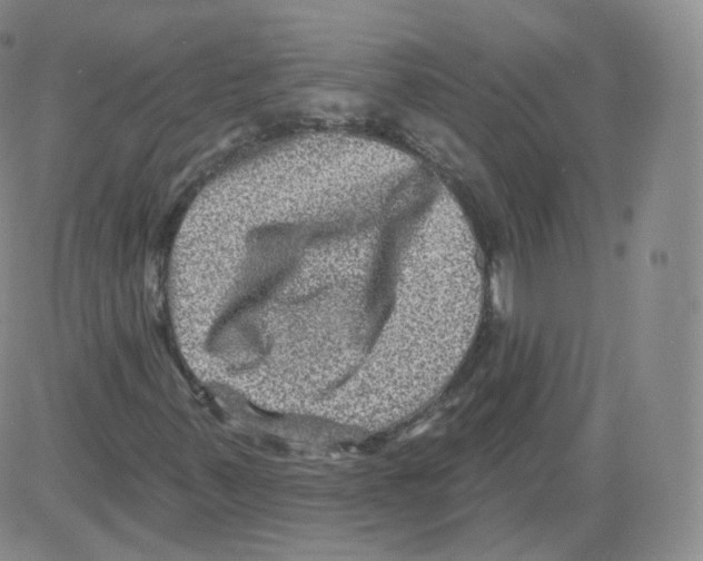 X0000082761347200702240054