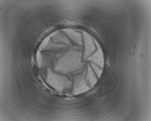 X0000082761348200702240054