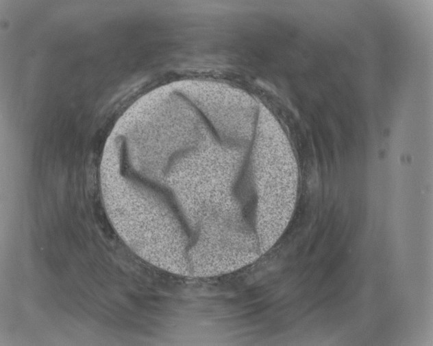 X0000082761350200702240054