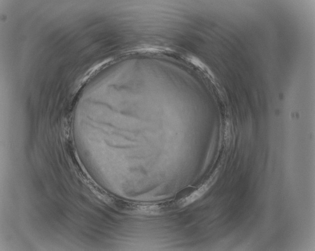 X0000082761353200702240054