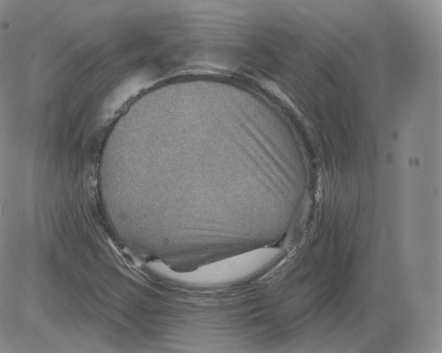 X0000082761355200702240054