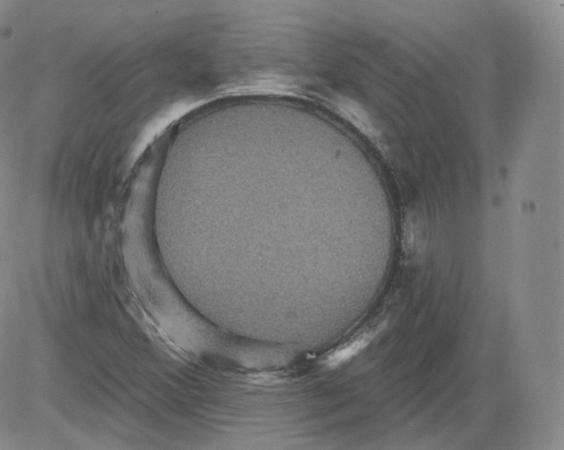 X0000082761356200702240054