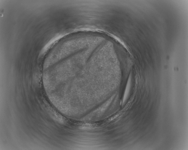 X0000082761359200702240054