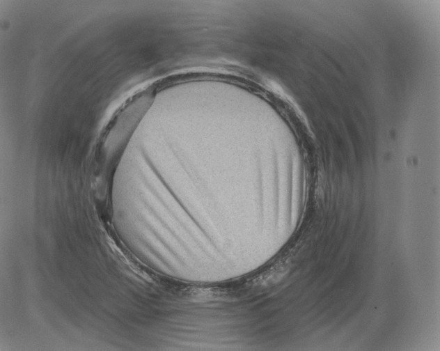 X0000082761360200702240054