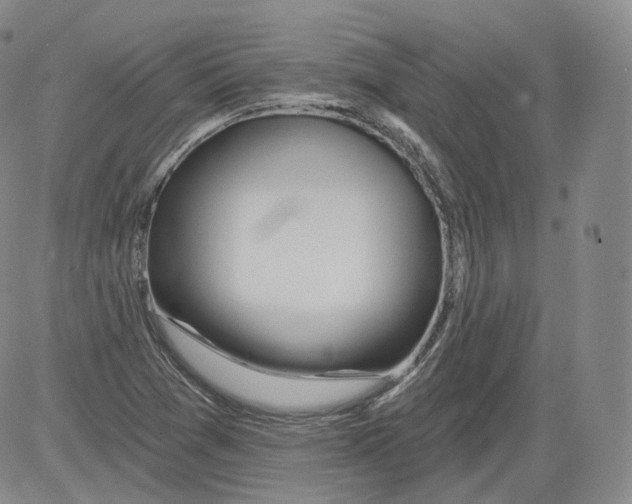 X0000082761361200702240054