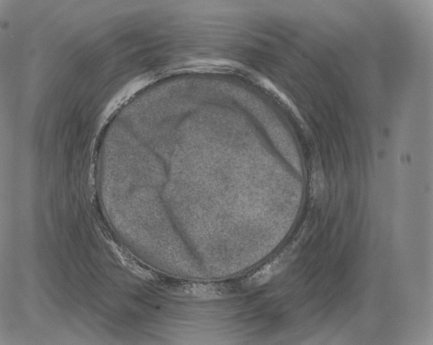 X0000082761362200702240054