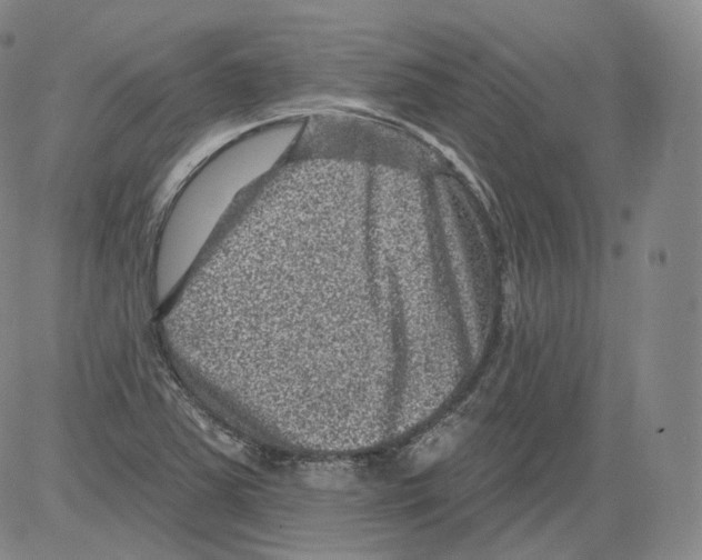 X0000082761363200702240054