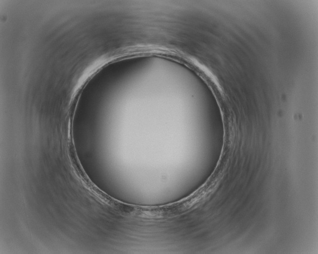 X0000082761365200702240054