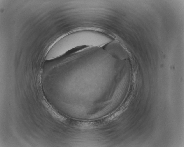 X0000082761369200702240054