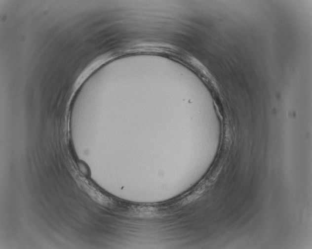 X0000082761370200702240054