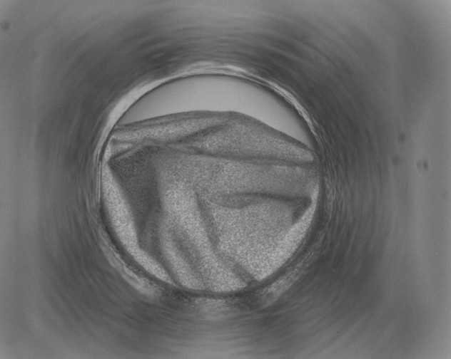 X0000082761371200702240054