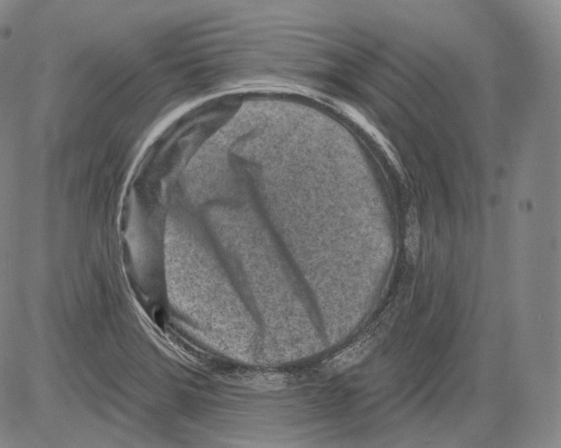 X0000082761372200702240054