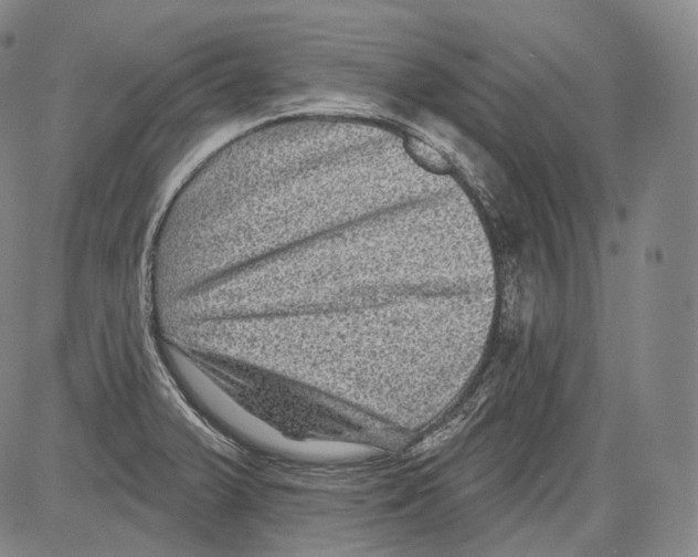 X0000082761375200702240054