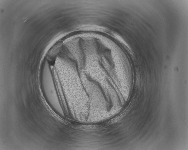 X0000082761376200702240054