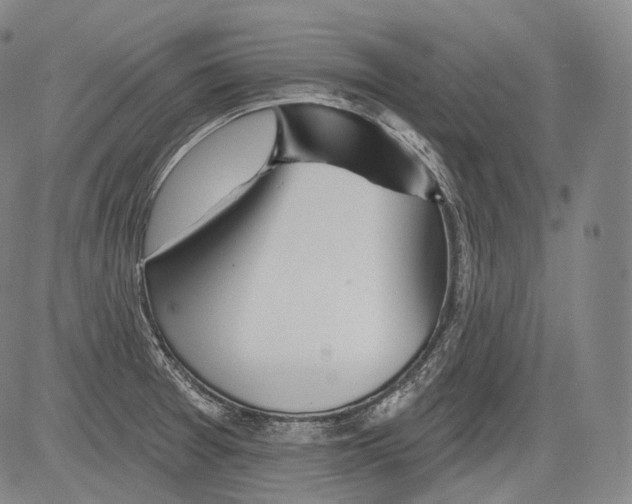 X0000082761377200702240053