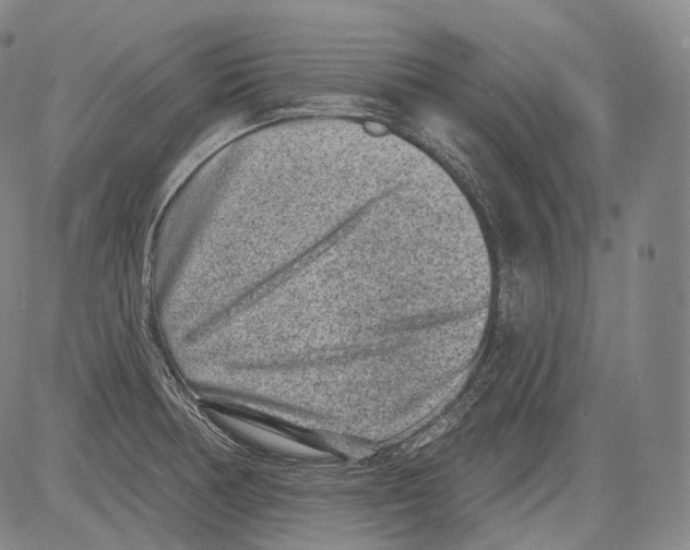 X0000082761378200702240053