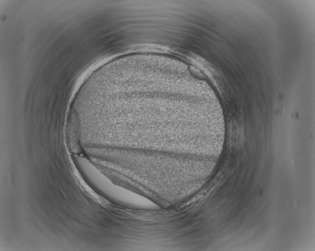 X0000082761379200702240053