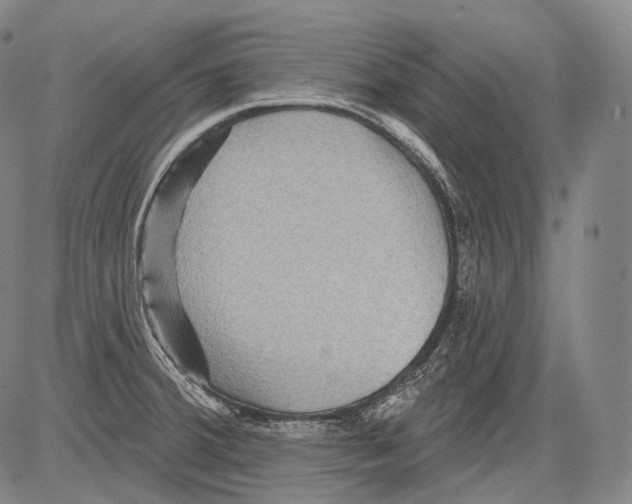 X0000082761380200702240053