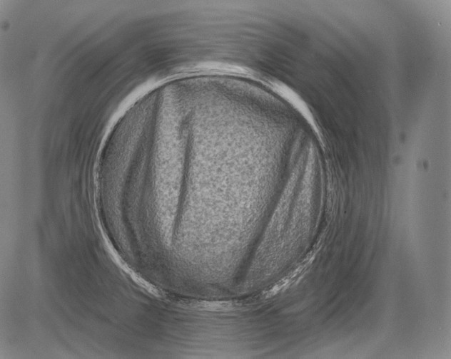 X0000082761381200702240053