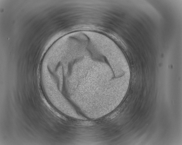 X0000082761382200702240053