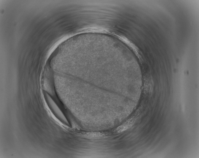 X0000082761383200702240053