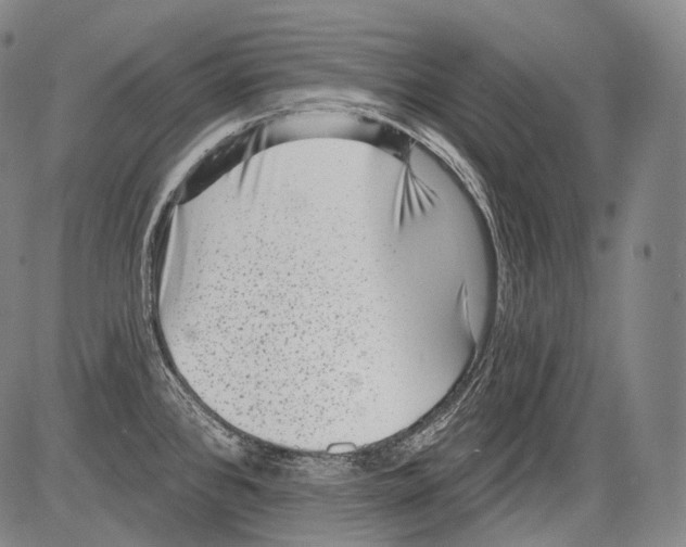 X0000082761384200702240053