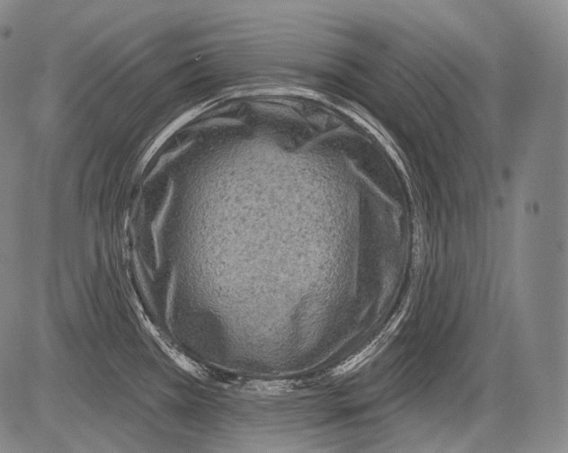 X0000082761385200702240053