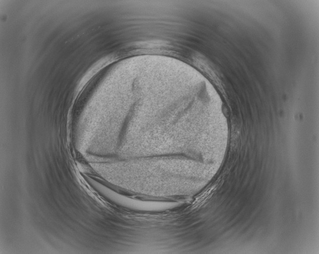 X0000082761386200702240053