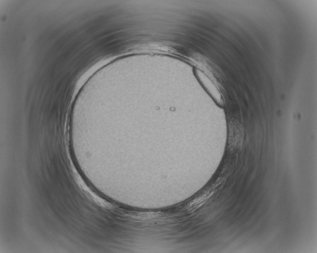 X0000082761387200702240053