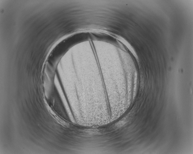 X0000082761388200702240053